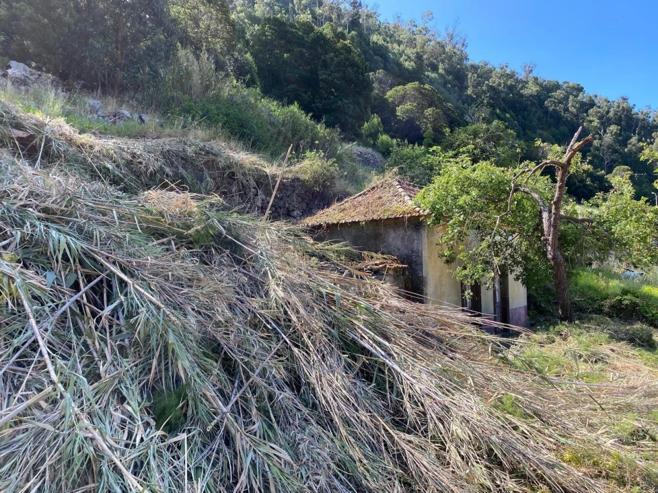 Moradia T2 para Venda em Campanario Foto 20