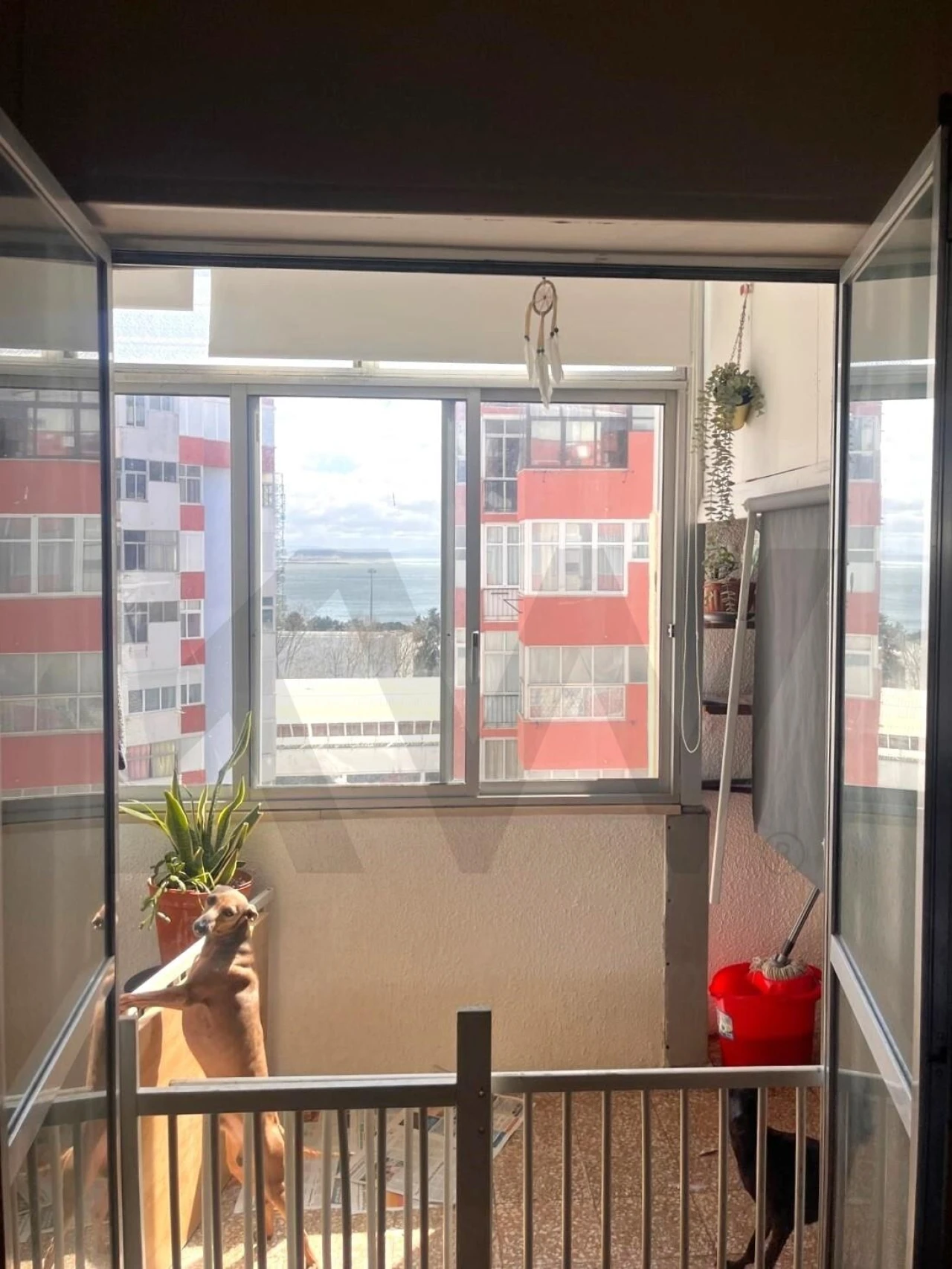 Apartamento T1 para Arrendamento em Oeiras e São Julião da Barra, Paço de Arcos e Caxias Foto 10