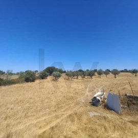 Terreno para Venda em Gafete