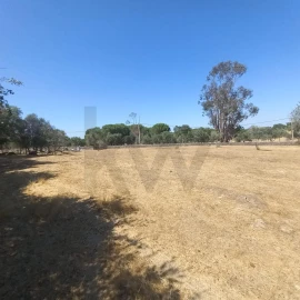 Terreno para Venda em Gafete