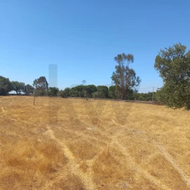 Terreno para Venda em Gafete