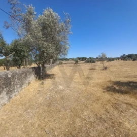 Terreno para Venda em Gafete
