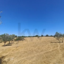 Terreno para Venda em Gafete
