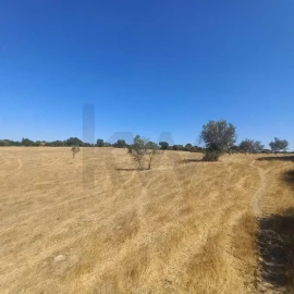 Terreno para Venda em Gafete