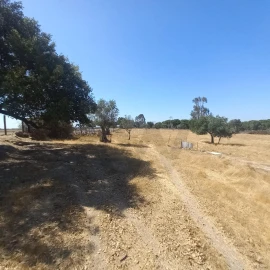 Terreno para Venda em Gafete