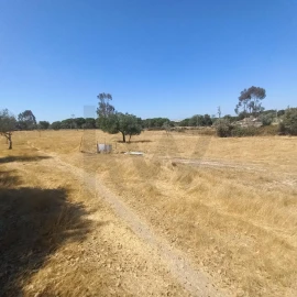 Terreno para Venda em Gafete