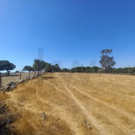 Terreno para Venda em Gafete