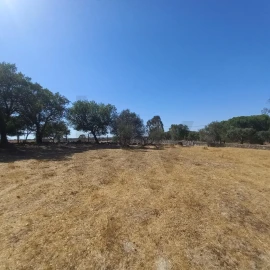 Terreno para Venda em Gafete