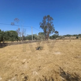 Terreno para Venda em Gafete