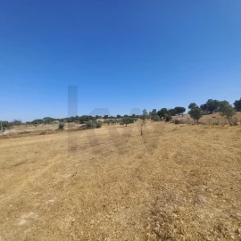 Terreno para Venda em Gafete