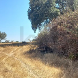 Terreno para Venda em Gafete