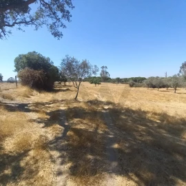 Terreno para Venda em Gafete