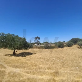 Terreno para Venda em Gafete