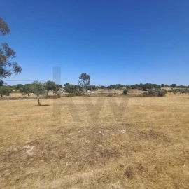 Terreno para Venda em Gafete