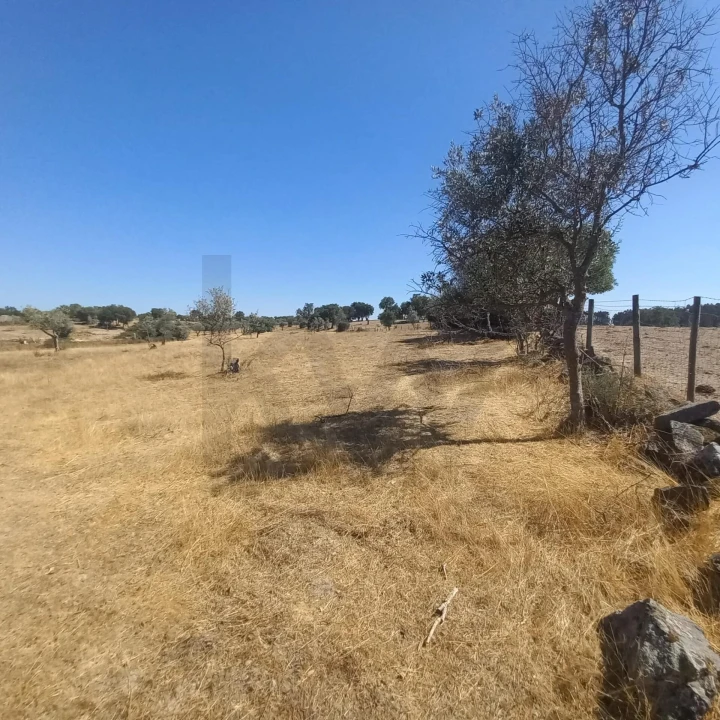 Terreno para Venda em Gafete Foto 52