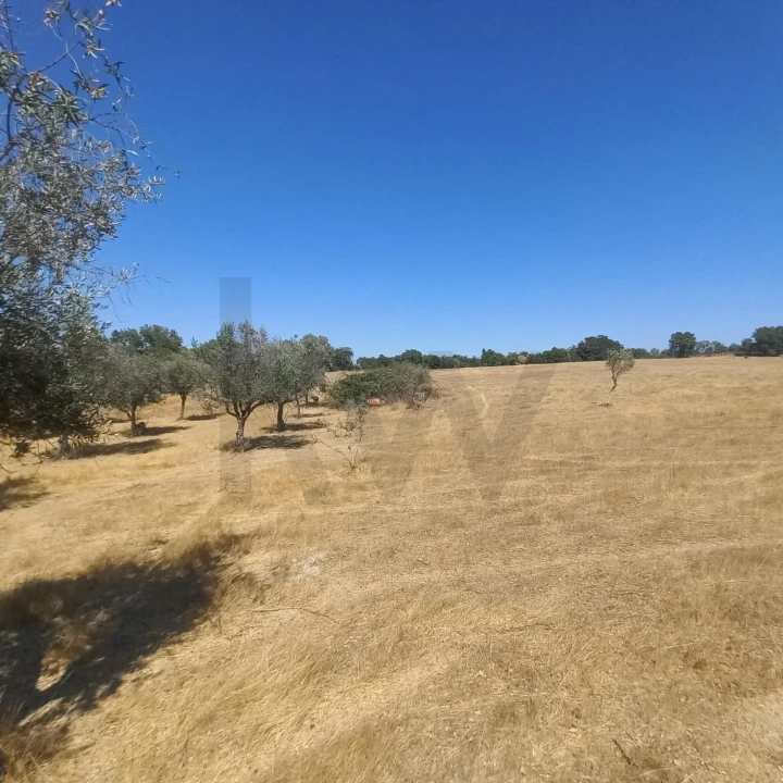 Terreno para Venda em Gafete Foto 11
