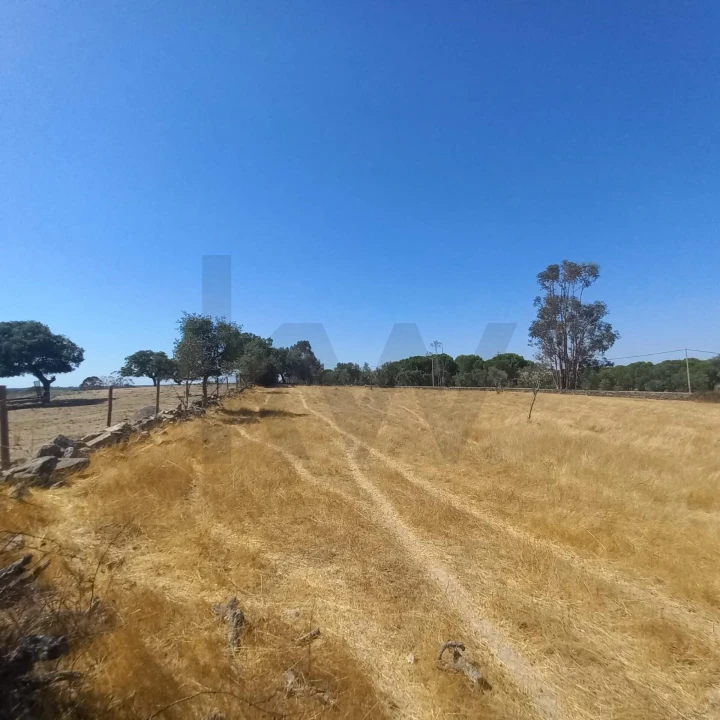 Terreno para Venda em Gafete Foto 27