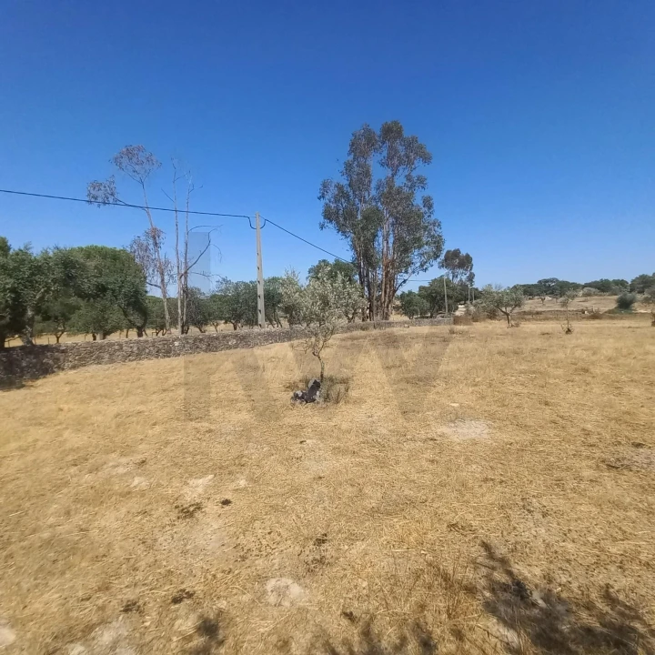 Terreno para Venda em Gafete Foto 43
