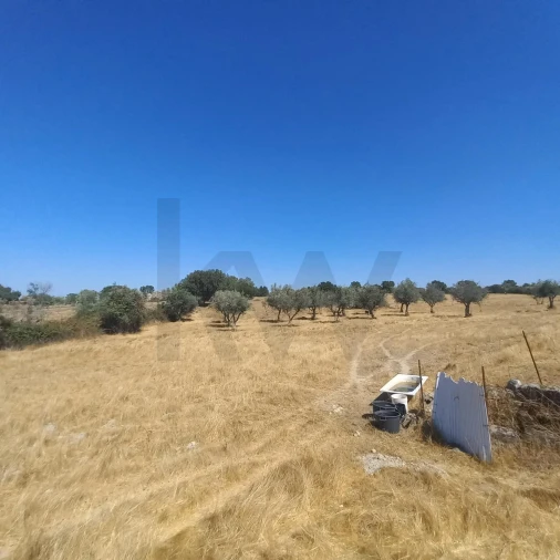 Terreno para Venda em Gafete Foto 42