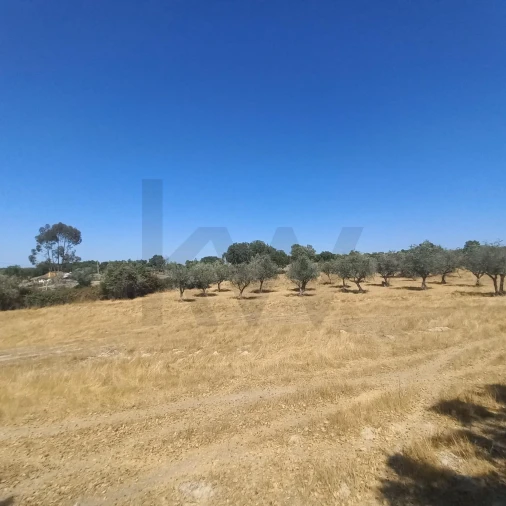Terreno para Venda em Gafete Foto 37