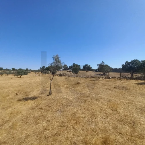 Terreno para Venda em Gafete Foto 32