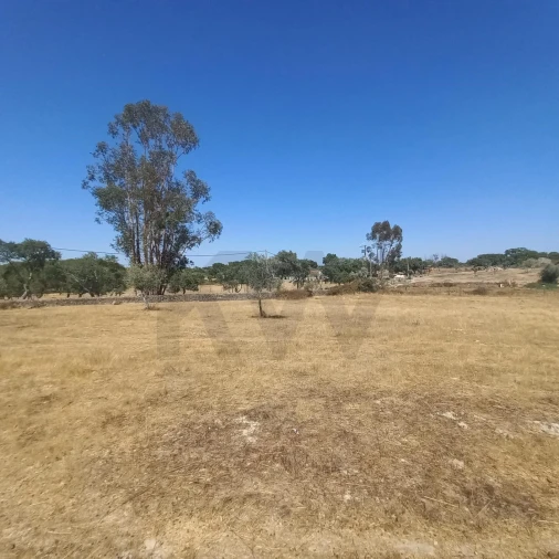 Terreno para Venda em Gafete Foto 48