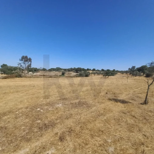 Terreno para Venda em Gafete Foto 41