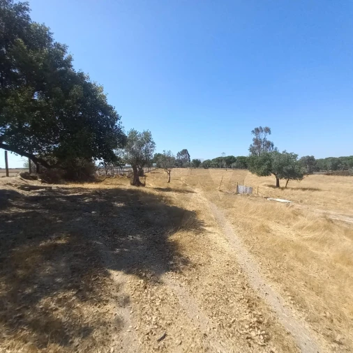 Terreno para Venda em Gafete Foto 7
