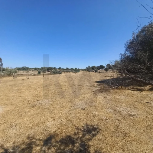 Terreno para Venda em Gafete Foto 40