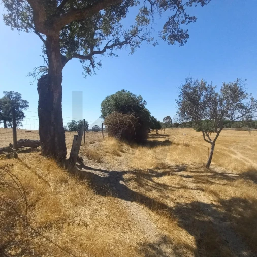 Terreno para Venda em Gafete Foto 13