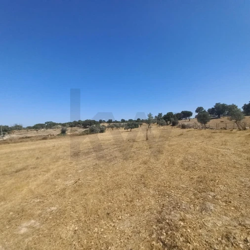 Terreno para Venda em Gafete Foto 35