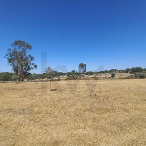 Terreno para Venda em Gafete Foto 30