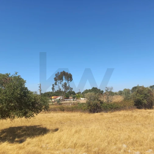 Terreno para Venda em Gafete Foto 23