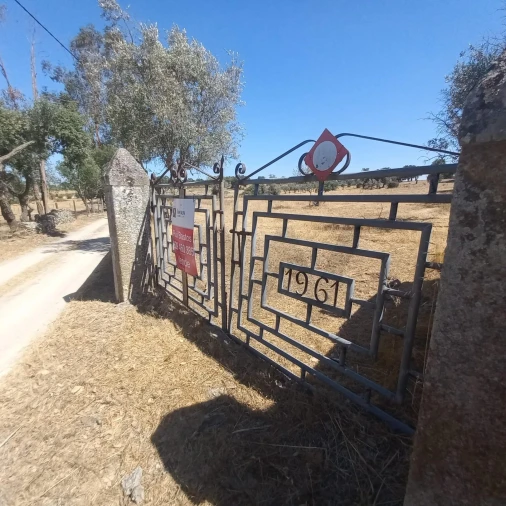 Terreno para Venda em Gafete Foto 45