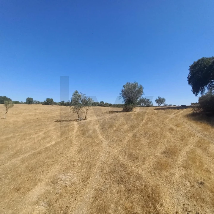 Terreno para Venda em Gafete Foto 9