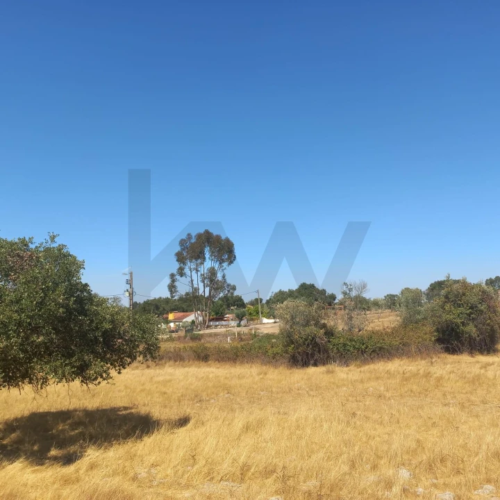 Terreno para Venda em Gafete Foto 23