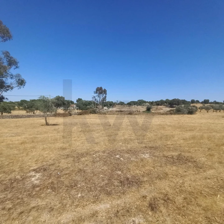 Terreno para Venda em Gafete Foto 34