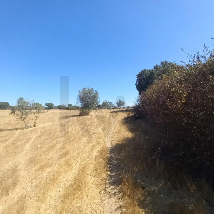 Terreno para Venda em Gafete Foto 38