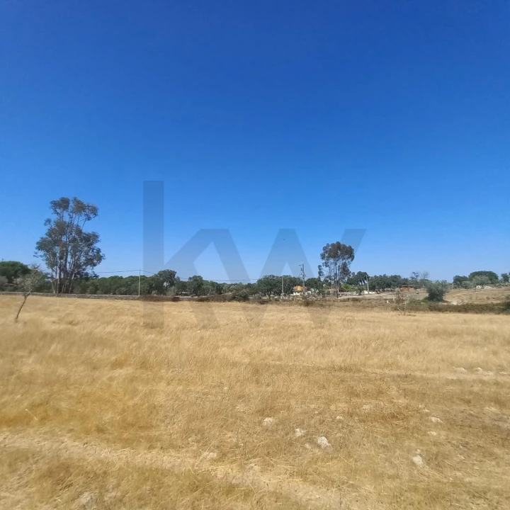 Terreno para Venda em Gafete Foto 29