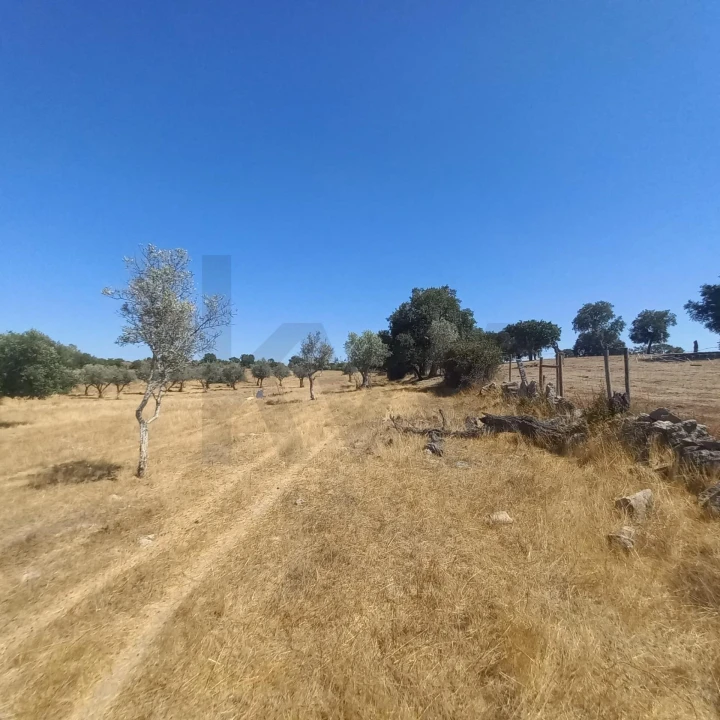 Terreno para Venda em Gafete Foto 47