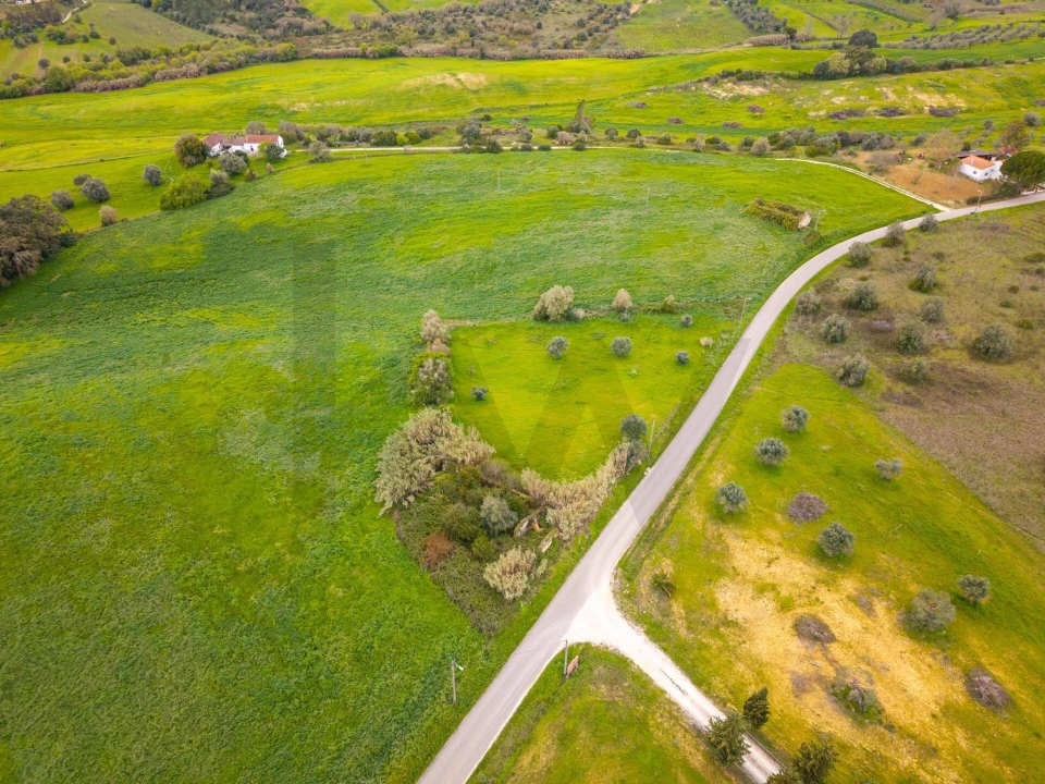 Terreno para Venda em Casével e Vaqueiros Foto 1