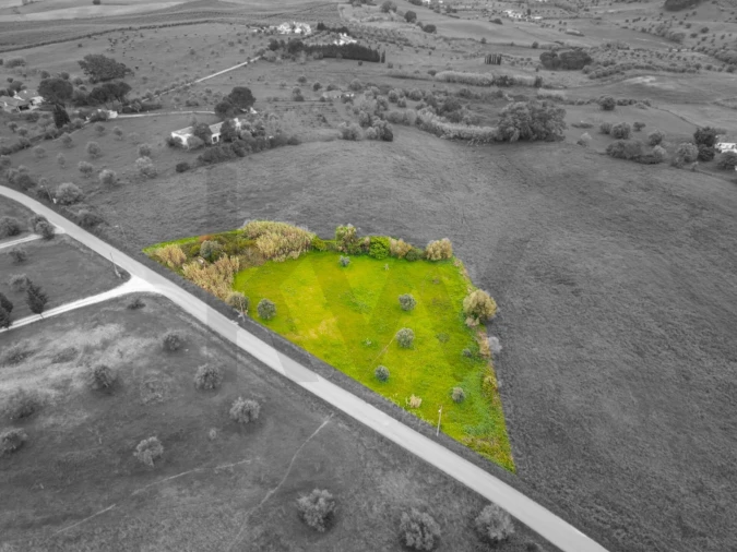 Terreno para Venda em Casével e Vaqueiros Foto 4