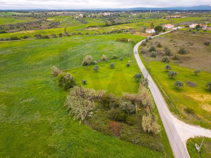 Terreno para Venda em Casével e Vaqueiros Foto 14