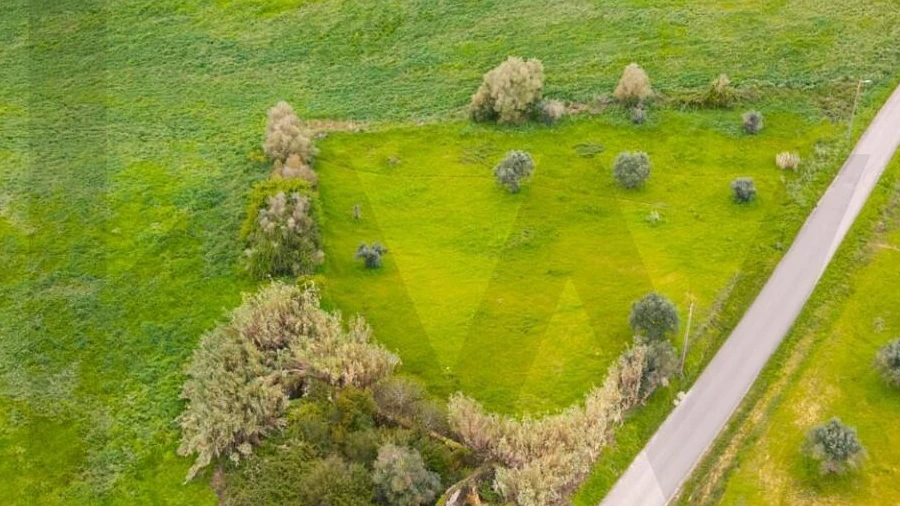 Terreno para Venda em Casével e Vaqueiros