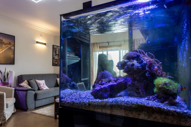 Apartamento T2 para Venda em São Domingos de Rana Foto 16