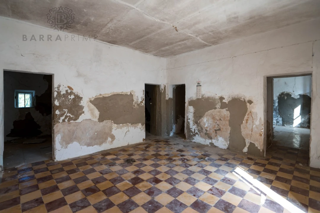 Terreno para Venda em Pechão Foto 10