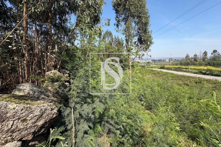 Terreno para Venda em Tondela e Nandufe Foto 12