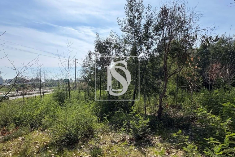 Terreno para Venda em Tondela e Nandufe Foto 10