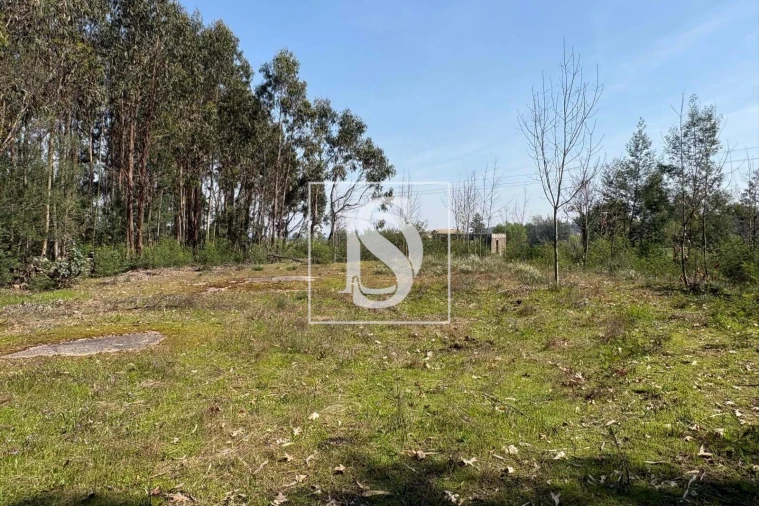 Terreno para Venda em Tondela e Nandufe Foto 11