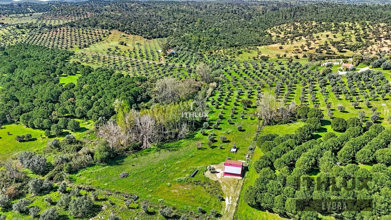 Quinta T1 para Venda em Portel Foto 1